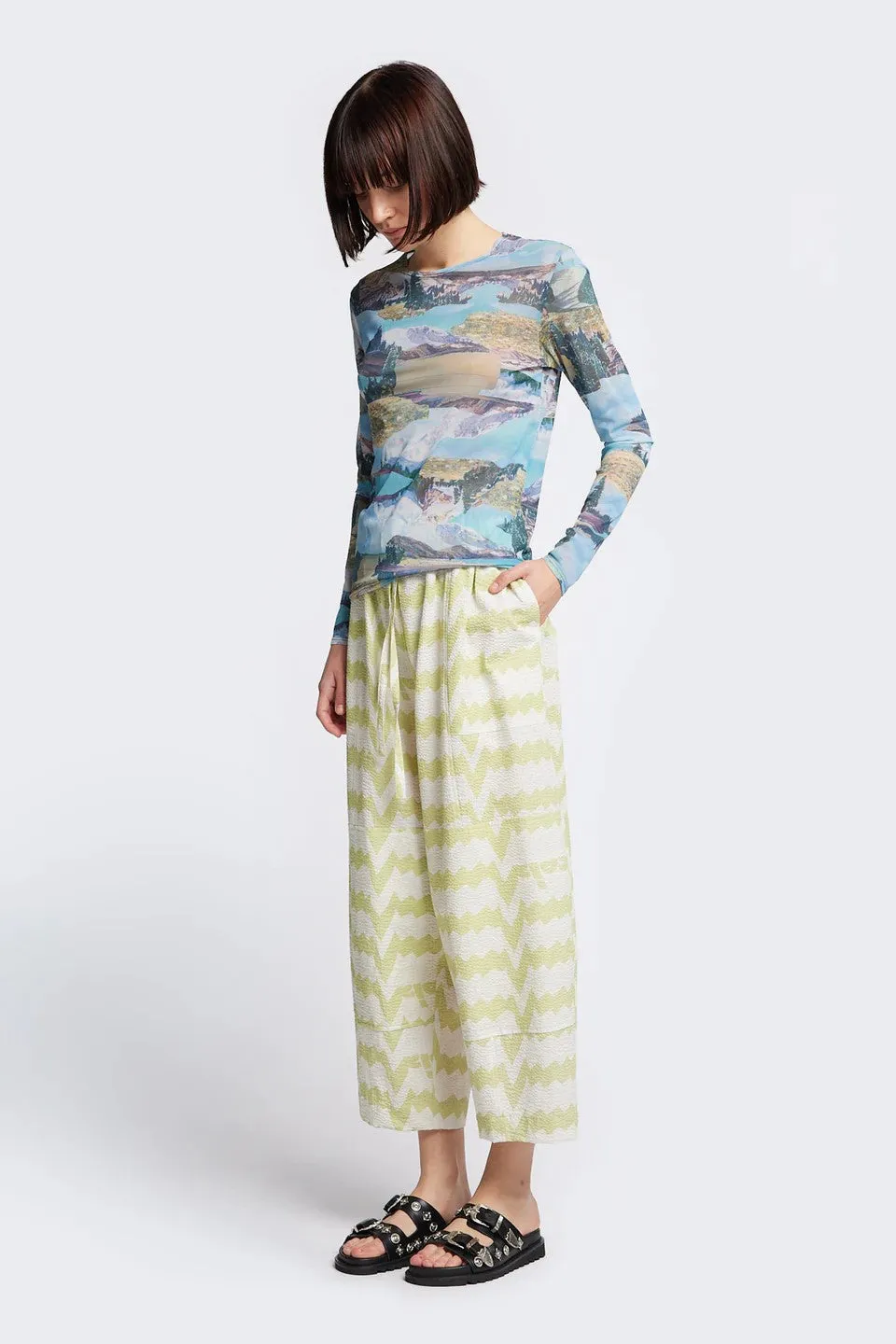 Aratus Pant in Pale Green Print