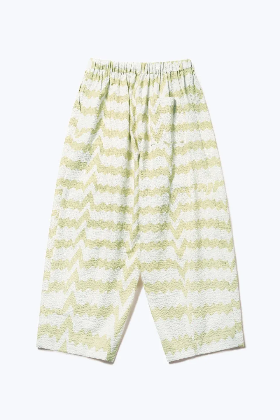 Aratus Pant in Pale Green Print